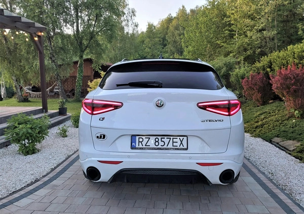 Alfa Romeo Stelvio cena 189000 przebieg: 11000, rok produkcji 2023 z Rzeszów małe 667